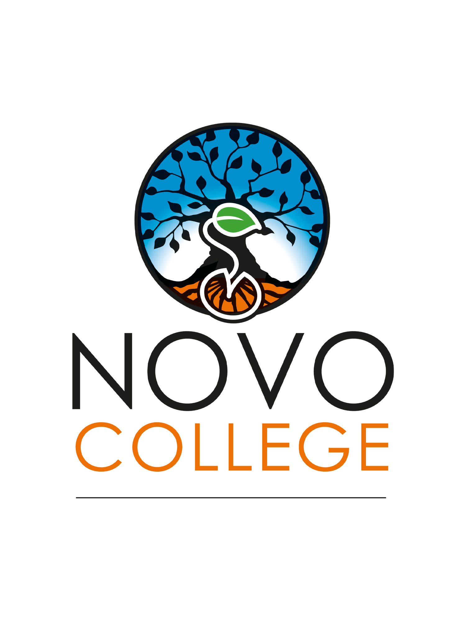 novocollegelogo1